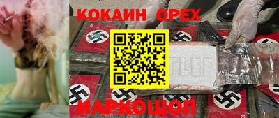 прущие грибы Лесосибирск