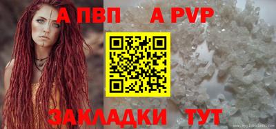 прущие грибы Лесосибирск