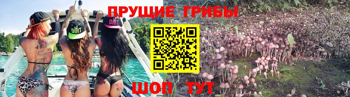Углич  Галлюциногенные грибы Magic Shrooms  Вход с VPN 